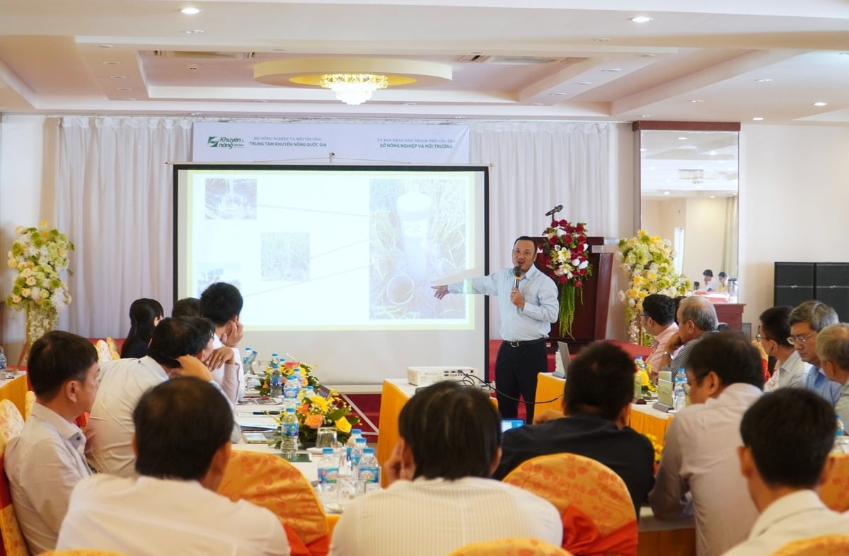 Công nghệ số sẵn sàng ứng dụng cho 1 triệu ha lúa chất lượng cao
