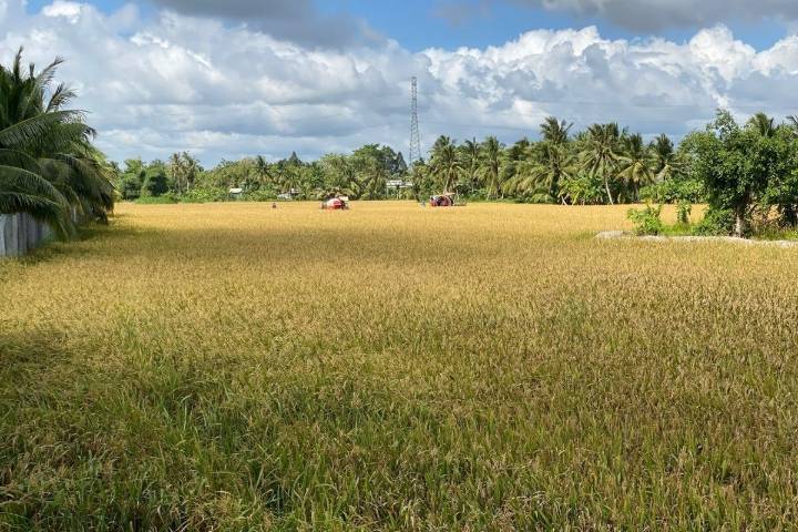Vĩnh Long: Triển khai thống kê đất đai năm 2025 đảm bảo tiến độ, chất lượng 