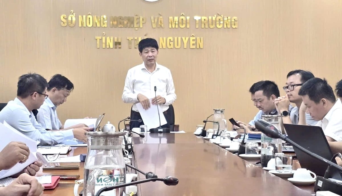 Chiến dịch làm giàu, làm sạch dữ liệu đất đai lấy người dân là trung tâm 