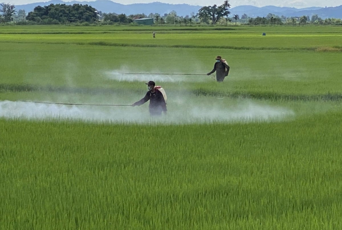 Quản lý chặt cơ sở kinh doanh vật tư nông nghiệp

