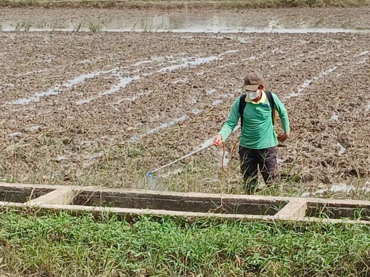 ‘Căn cơ’ vào vụ đông xuân với quyết tâm giành thắng lợi 
