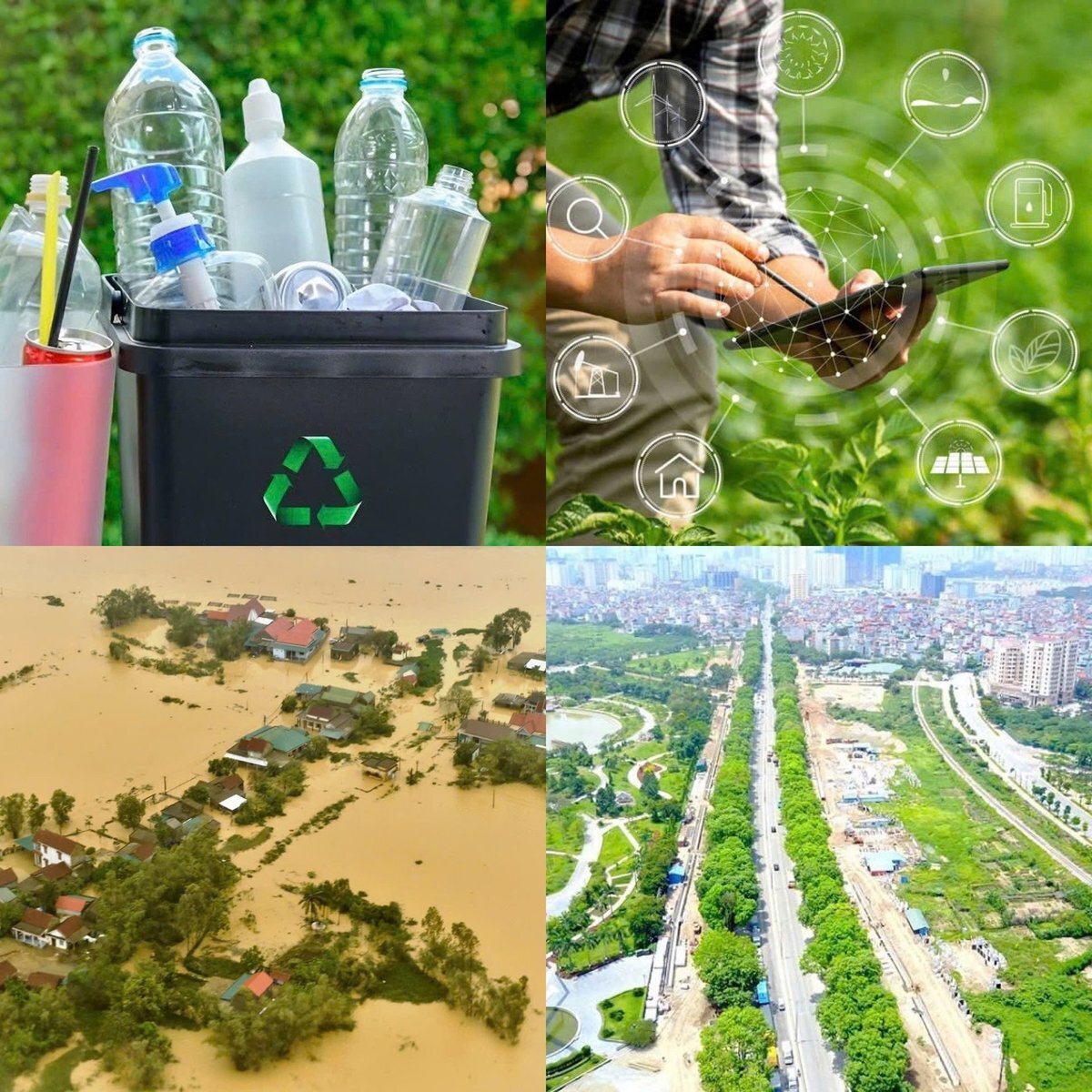 Đánh giá tác động và truyền thông chính sách lĩnh vực nông nghiệp - môi trường
