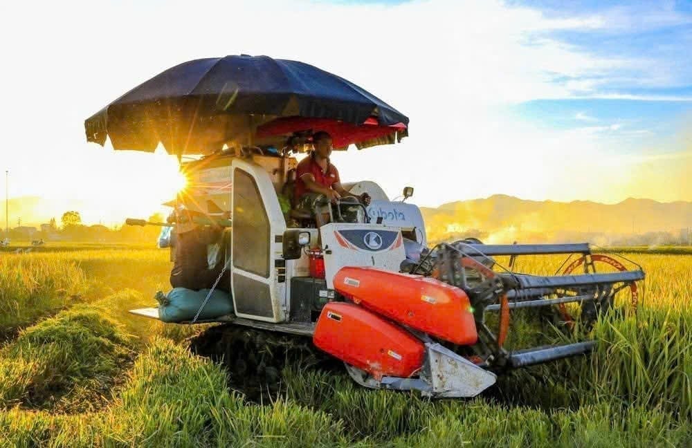 Đồng hành với nông dân vì an ninh lương thực quốc gia 