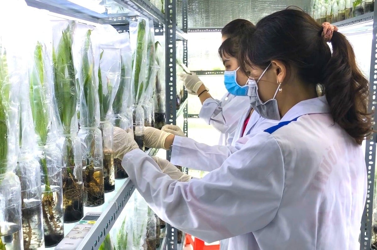 Đưa khoa học công nghệ trở thành động lực then chốt phát triển ngành NN-MT 