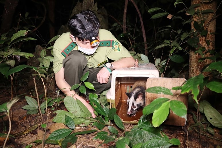 Triển khai kế hoạch liên Bộ bảo vệ động vật hoang dã 