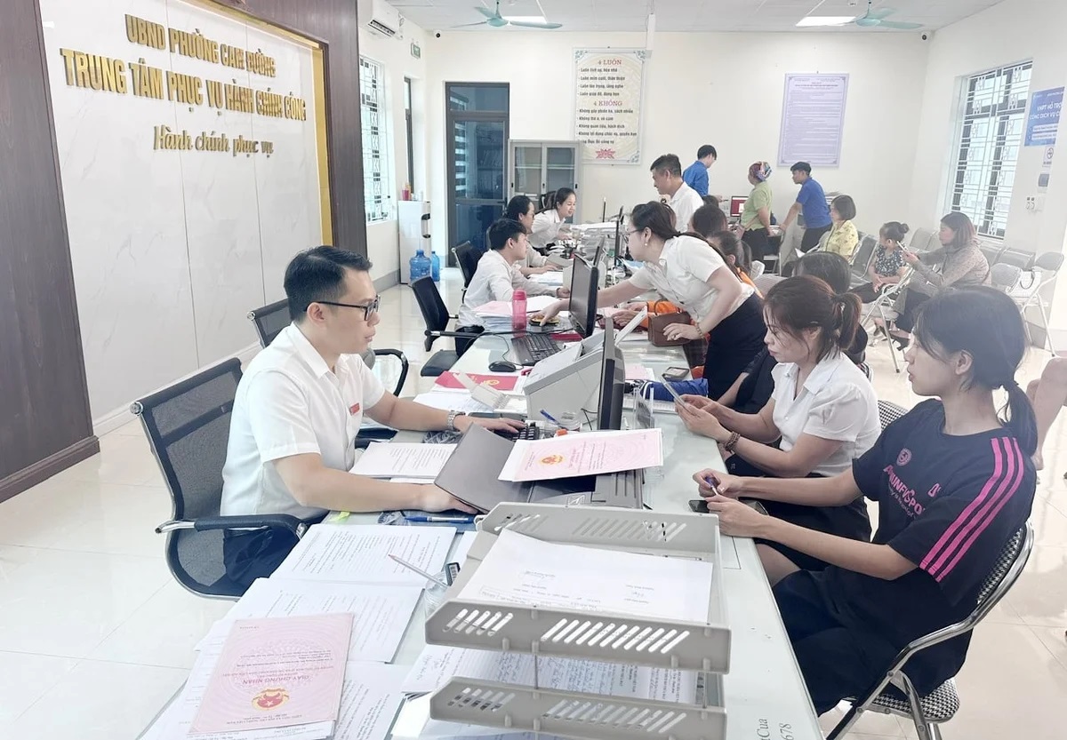 Lào Cai ủy quyền giải quyết thủ tục hành chính lĩnh vực nông nghiệp
