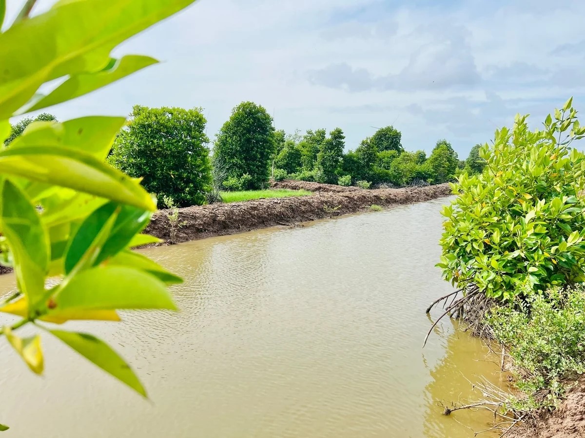 Nuôi trồng thủy sản tuần hoàn, hướng đi bền vững cho vùng ven biển ĐBSCL 