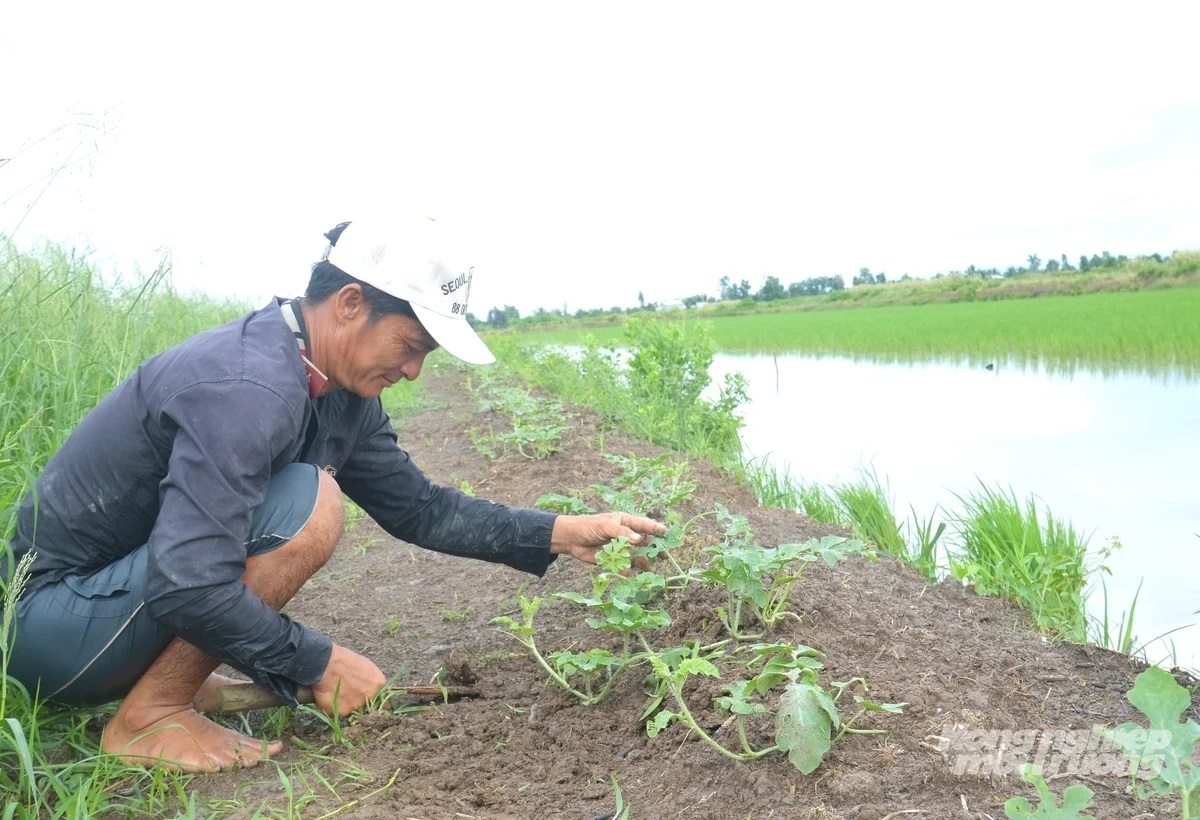 Khởi động dự án nông nghiệp thích ứng với biến đổi khí hậu tại An Giang
