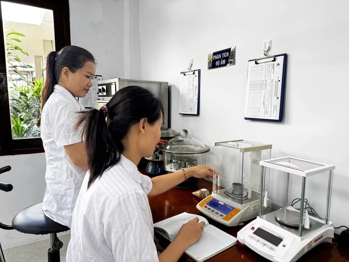 Viện Nha Hố được Bộ NN-MT chỉ định thử nghiệm chất lượng hạt giống cây trồng 