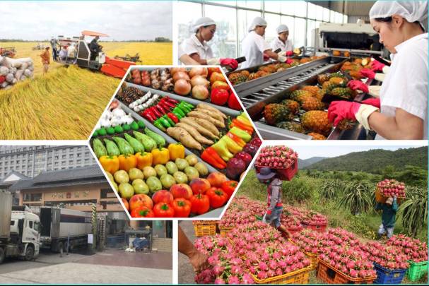Chuẩn hóa thủ tục hành chính lĩnh vực quản lý chất lượng nông lâm sản và thủy sản