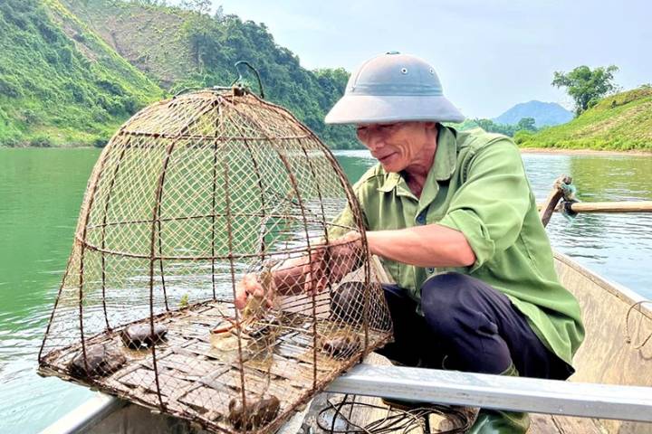 Quảng Bình siết chặt quản lý để bảo vệ nguồn lợi thủy sản