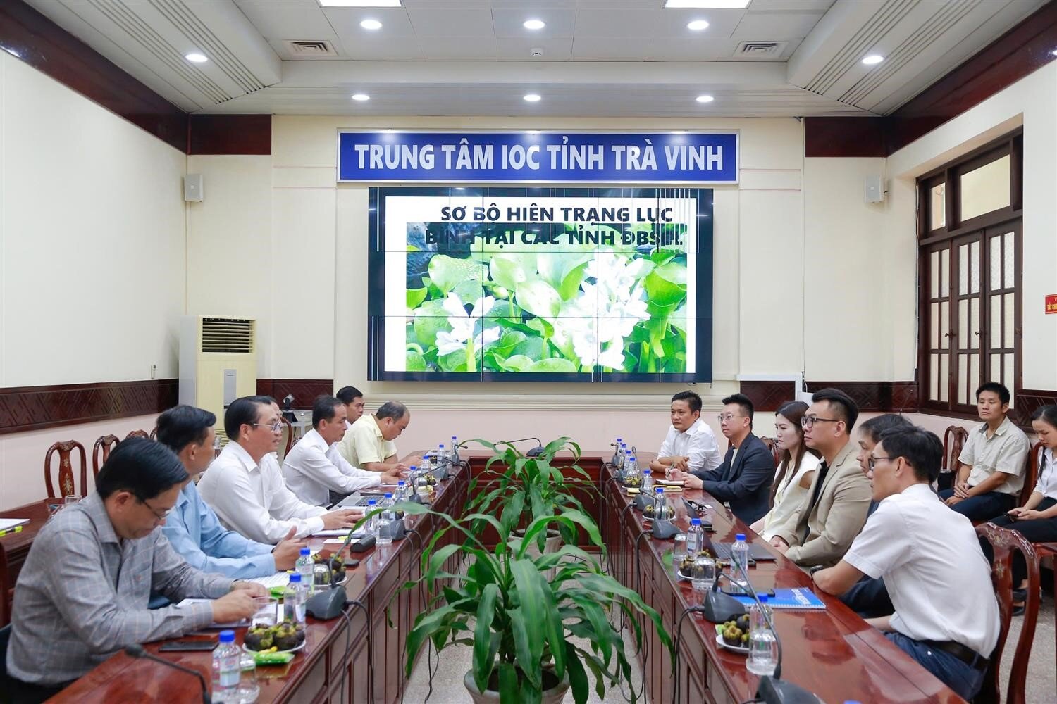 Đề xuất xây dựng nhà máy năng lượng sinh học từ lục bình tại tỉnh Trà Vinh