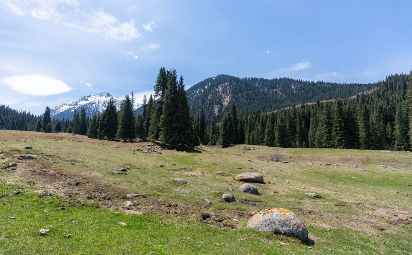 Screenshot 2025-05-28 at 15.32.56_30198dc5c5.png