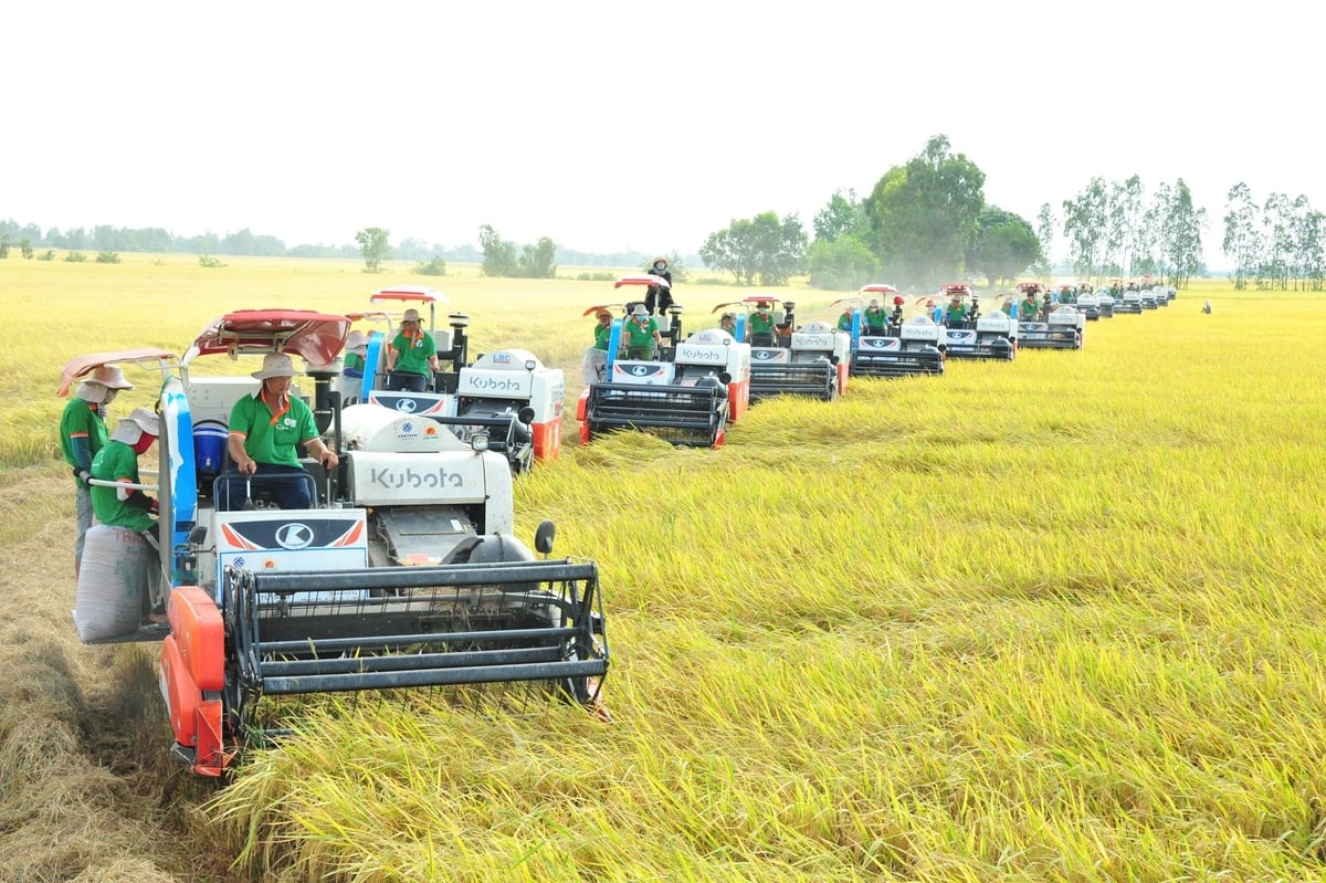 5 giải pháp trọng tâm, đột phá về KHCN ngành nông nghiệp và môi trường
