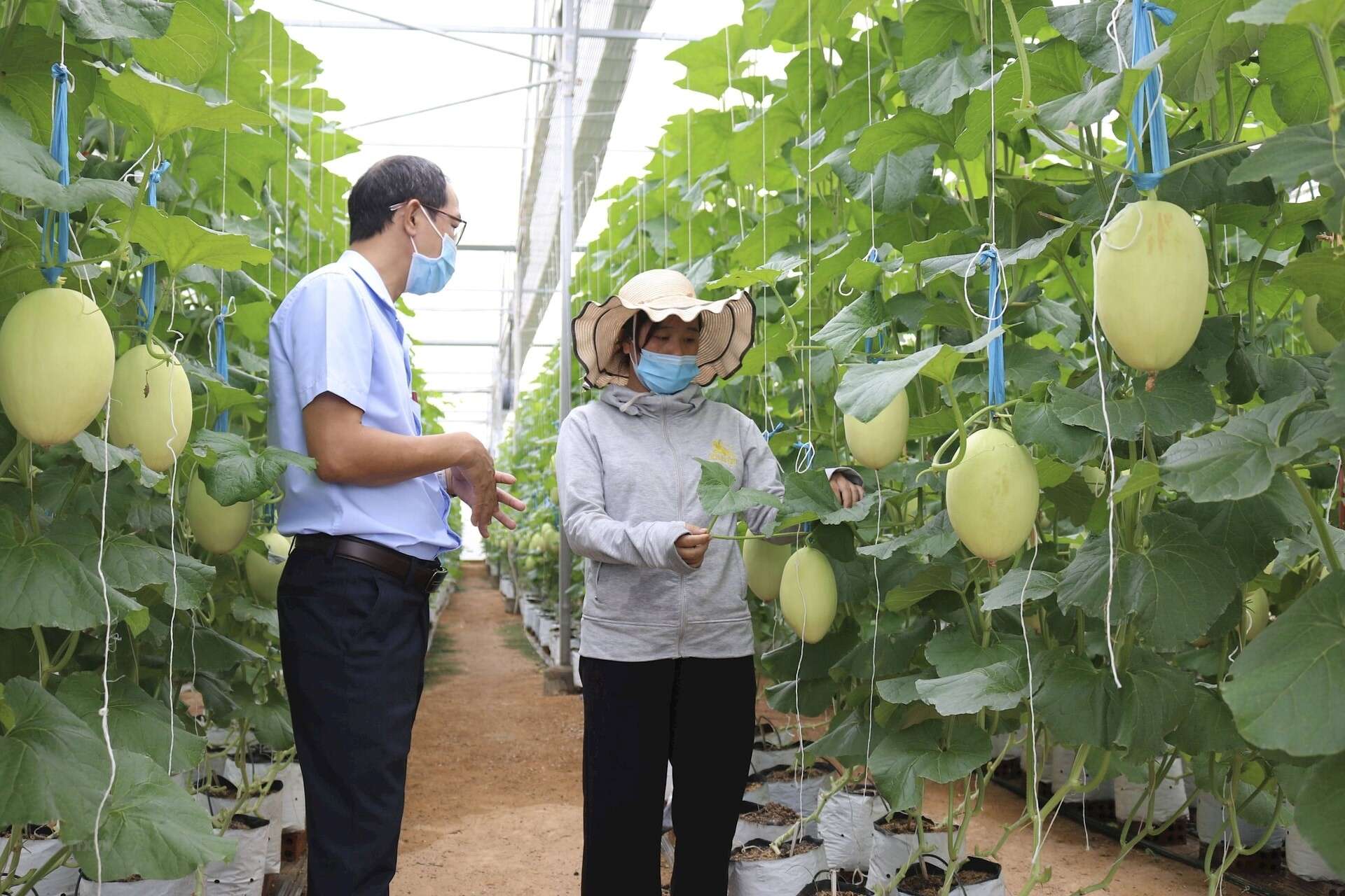 Bộ Nông nghiệp và Môi trường cải cách kiểm tra, hỗ trợ doanh nghiệp tư nhân