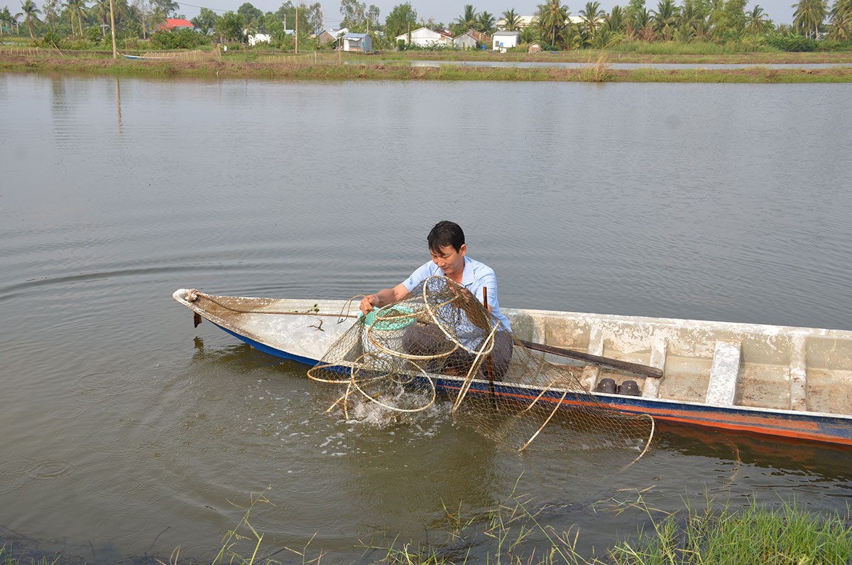 Chuyển đổi sản xuất nông nghiệp thích ứng biến đổi khí hậu
