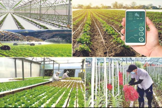 Khoa học công nghệ - Bước chuyển thực chất của ngành Nông nghiệp và Môi trường