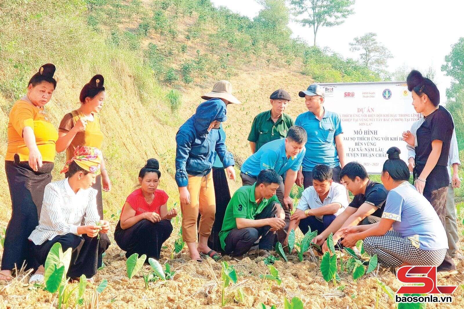 Sơn La: Nhân rộng mô hình kinh tế tuần hoàn thích ứng biến đổi khí hậu