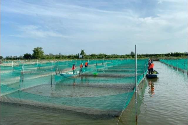 Cà Mau: Bứt phá ngành thủy sản theo hướng bền vững