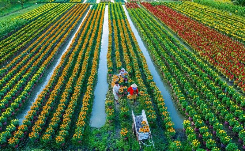 Đảng ủy Bộ Nông nghiệp và Môi trường dẫn dắt phát triển nông nghiệp và nông thôn hiện đại, bền vững