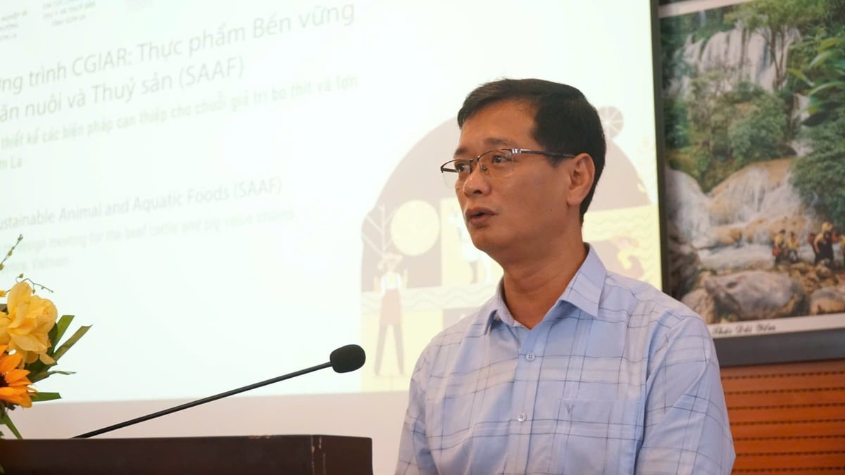Chương trình SAAF tại Sơn La: CGIAR khởi động dự án thực phẩm bền vững từ động vật và thủy sản 