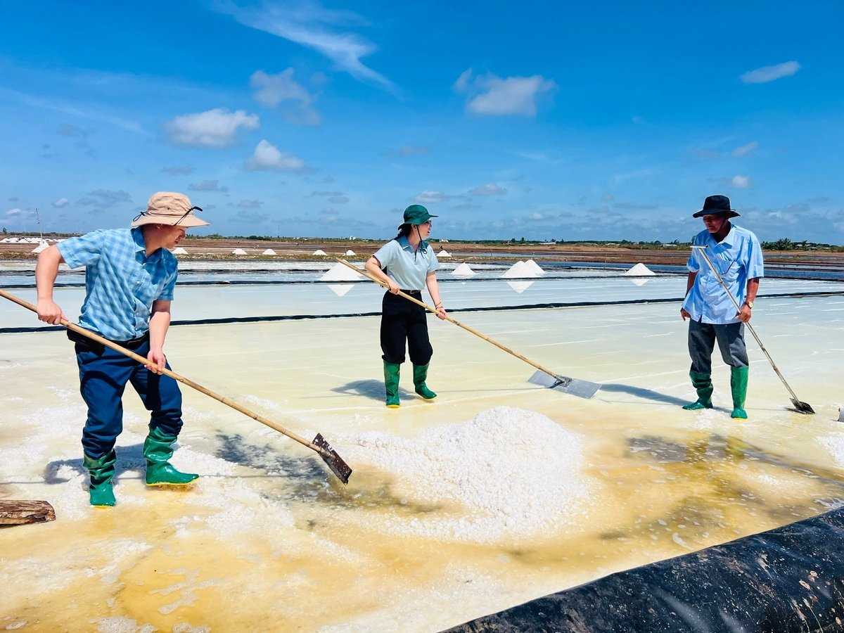 OCOP sau sáp nhập: Tiếp sức cho hạt muối Cà Mau

