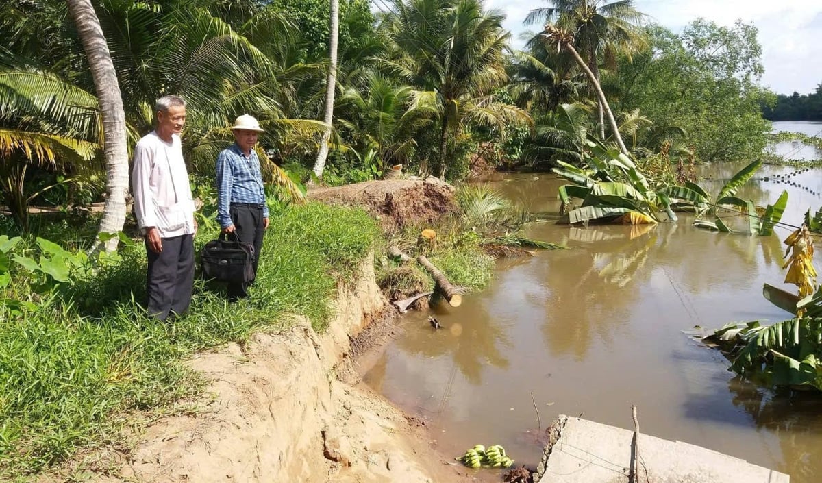 Đồng Tháp tập trung xử lý sạt lở, sụt lún 