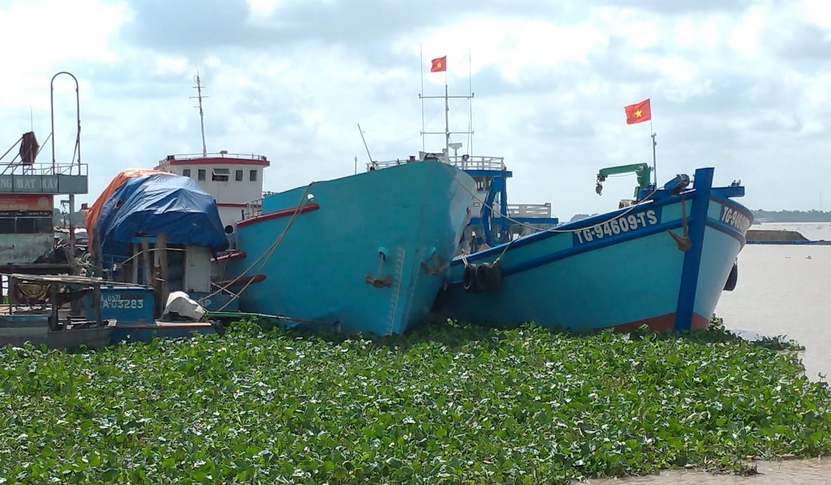 Đồng Tháp thực hiện tốt công tác phòng chống khai thác IUU
