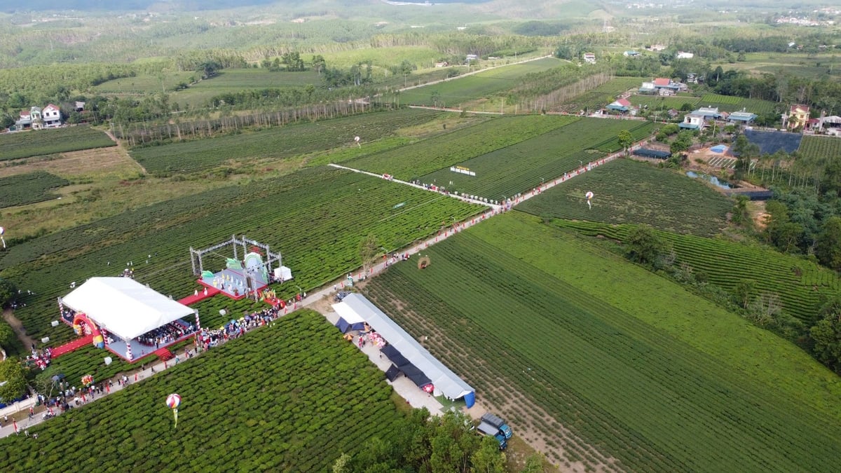 Nông nghiệp Quảng Ninh trên hành trình hiện đại hóa
