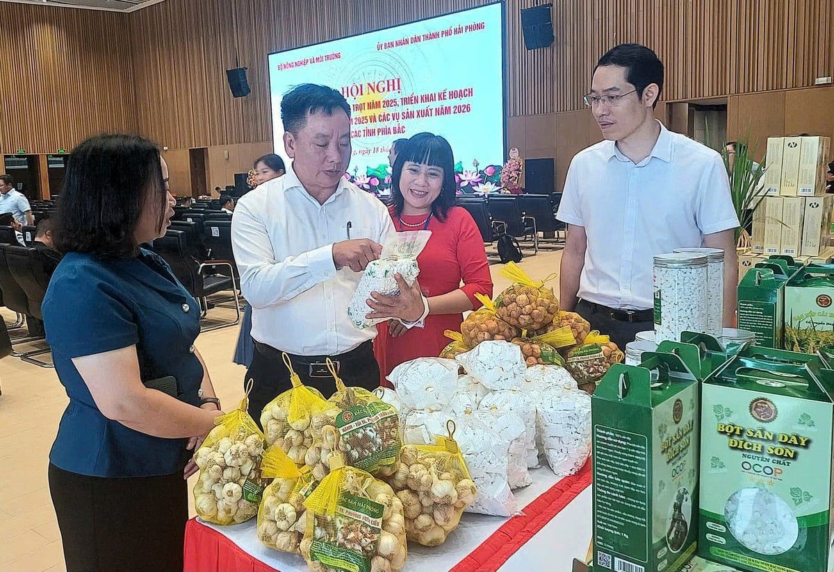 Hải Phòng nâng cao năng suất, chất lượng nông sản
