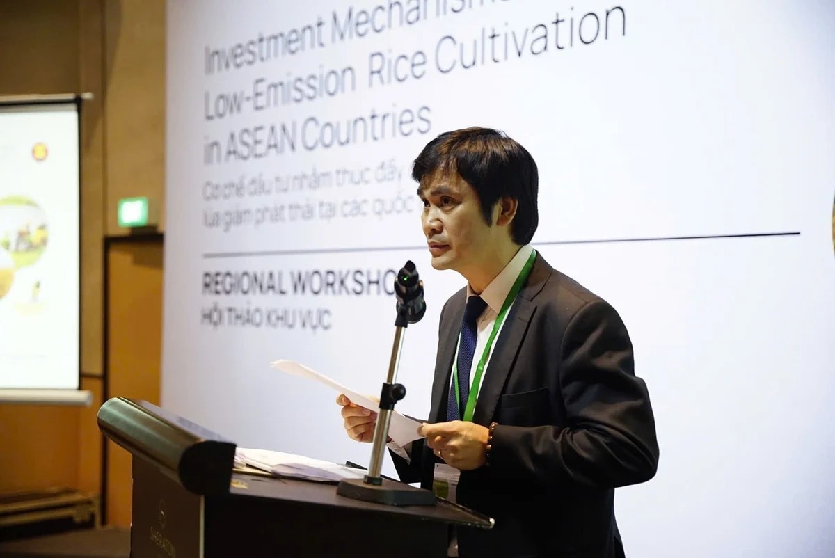 Ngành lúa gạo ASEAN đứng trước yêu cầu chuyển đổi phát thải thấp
