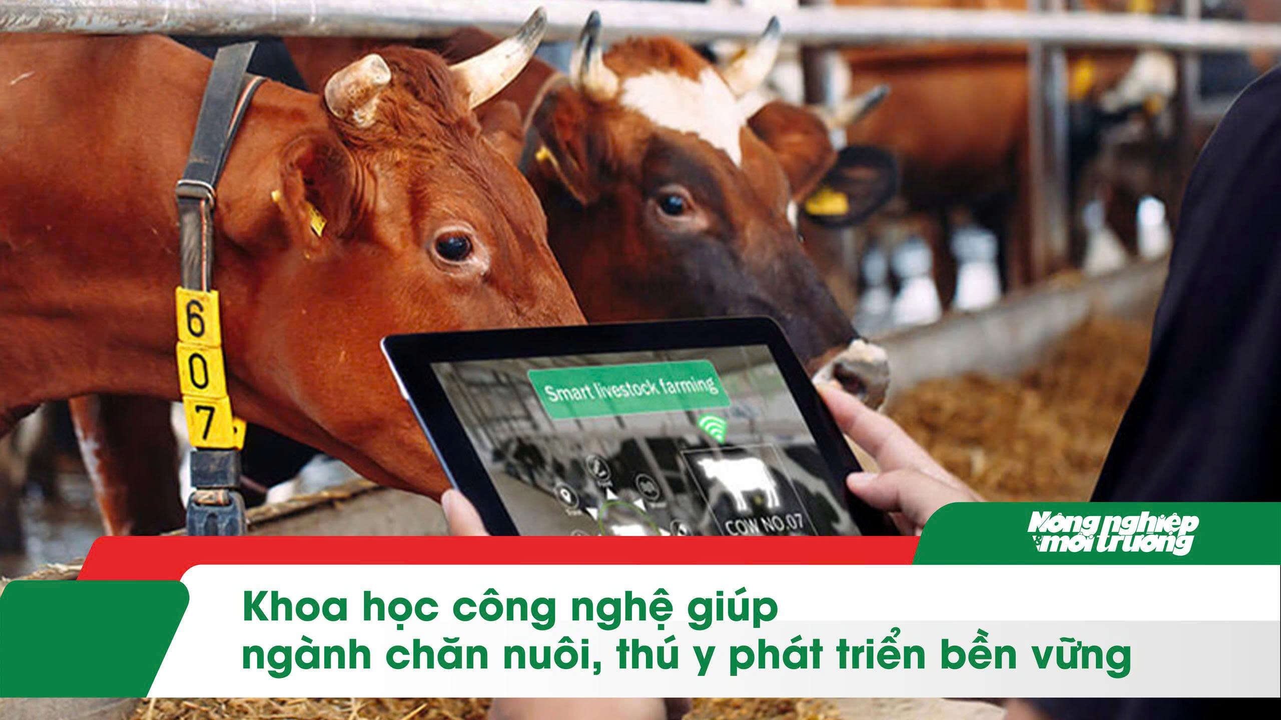 Khoa học công nghệ giúp ngành chăn nuôi, thú y phát triển bền vững
