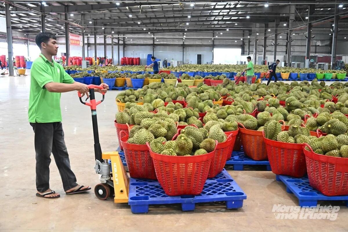Chuyển đổi số từ dữ liệu: [Bài 3] Minh bạch nguồn gốc nông sản
