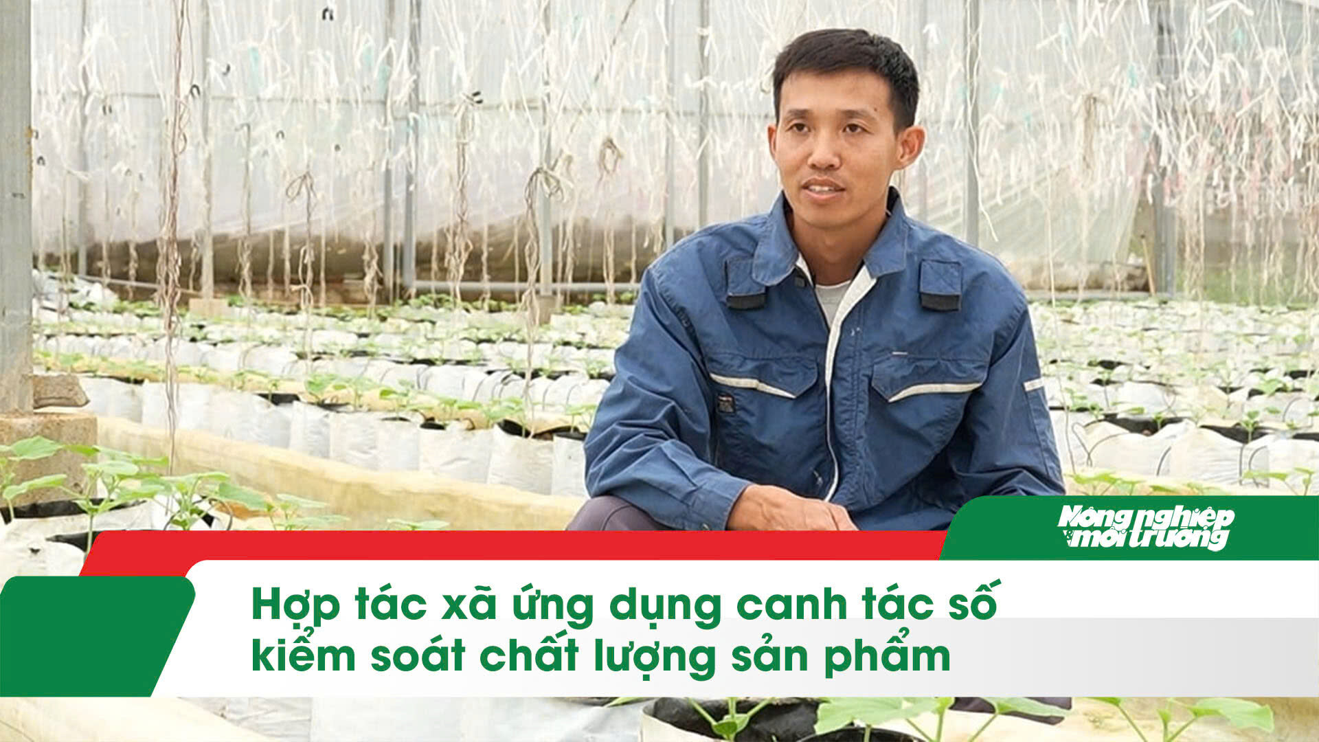 Hợp tác xã ứng dụng canh tác số kiểm soát chất lượng sản phẩm

