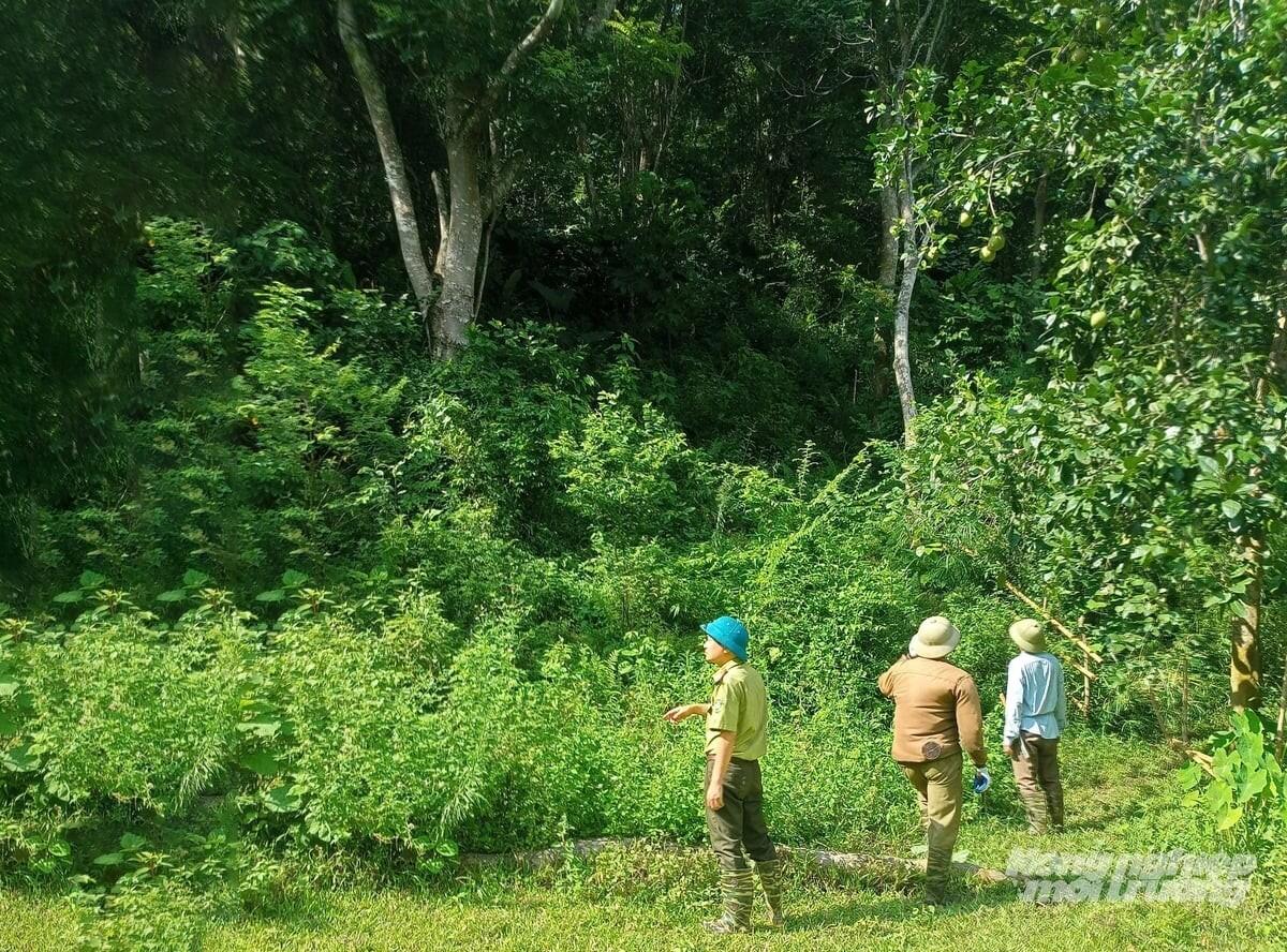 Bảo đảm an ninh môi trường trong thời kỳ mới