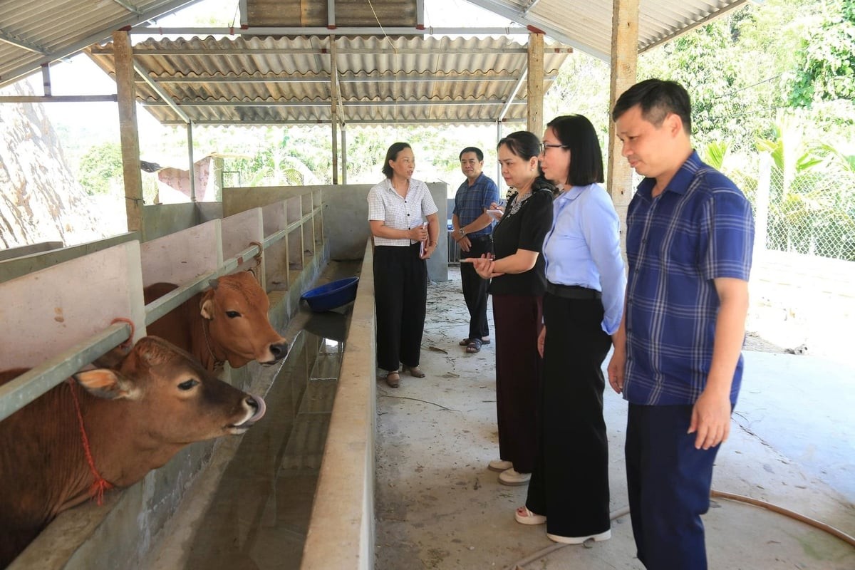 90 ngày số hóa dữ liệu: Nông nghiệp và Môi trường Lào Cai về đích sớm
