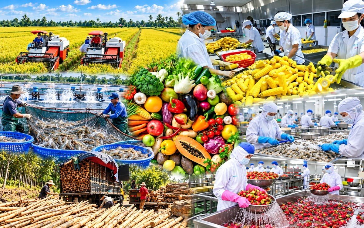 Phát triển vùng nguyên liệu tập trung, thị trường dẫn dắt sản xuất 