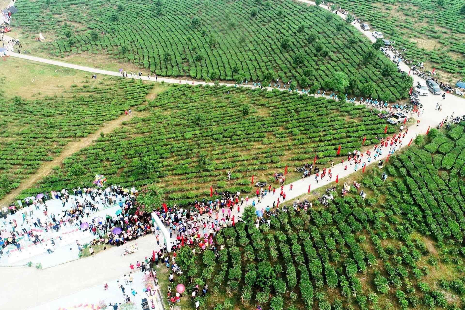 Giám đốc Sở NN&MT Lai Châu được ủy quyền thực hiện 12 nội dung thuộc thẩm quyền của UBND tỉnh