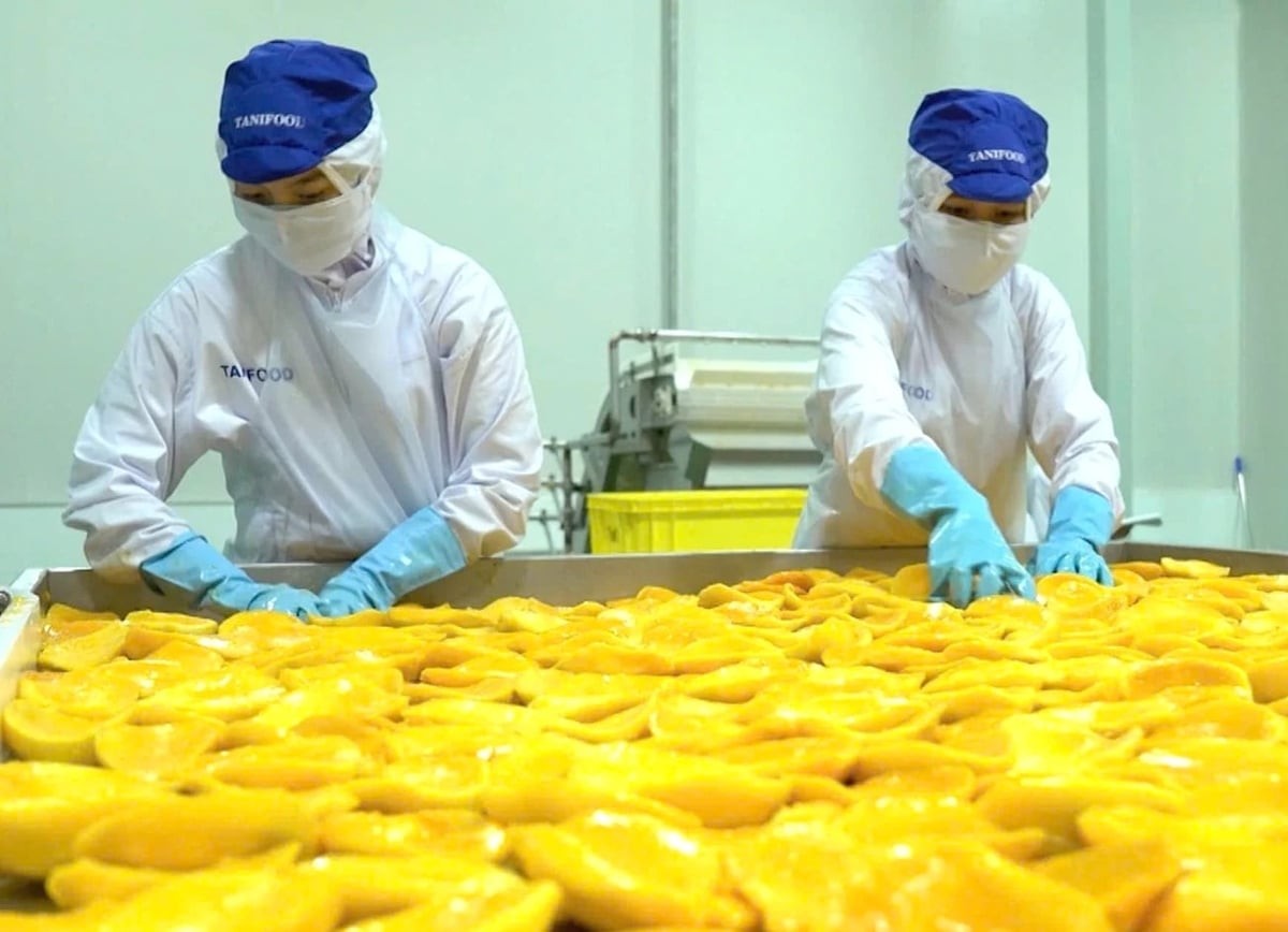 Khởi đầu thuận lợi cho ngành rau quả