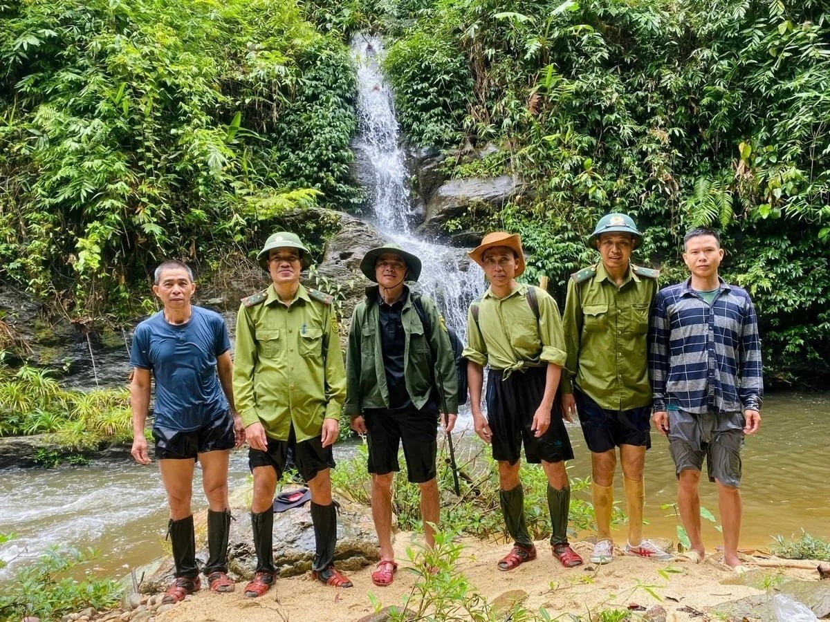 Nghệ An bổ sung hơn 34.500 chủ rừng hưởng lợi từ nguồn thu ERPA
