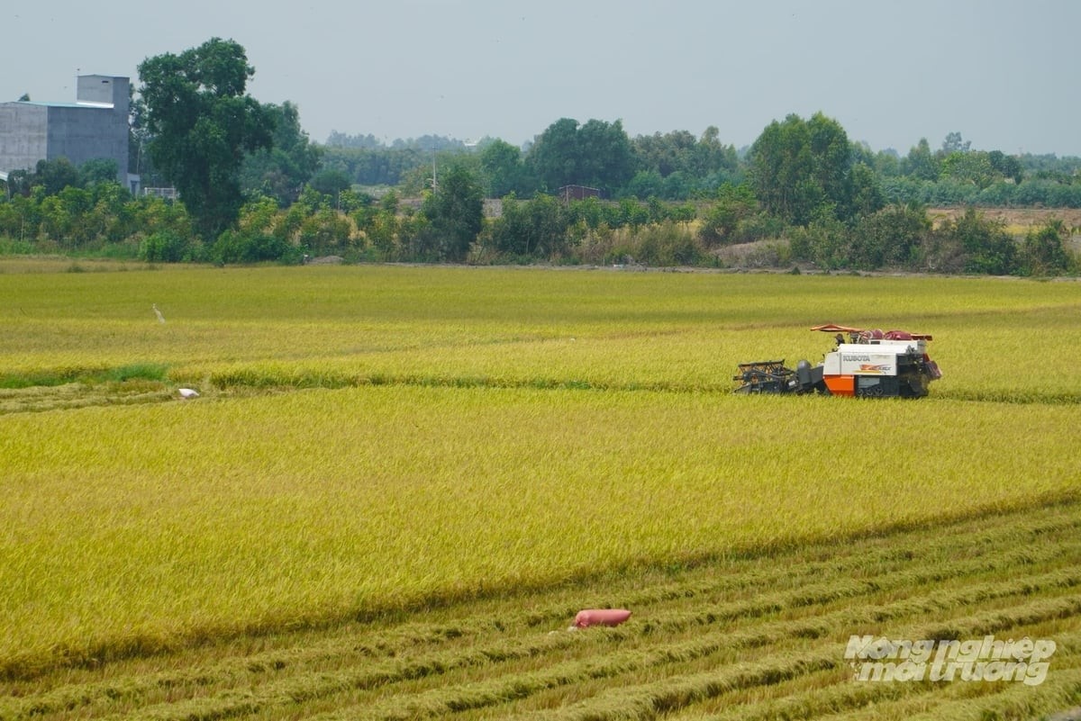 Thúc đẩy xã hội hóa phát triển thủy lợi nội đồng 