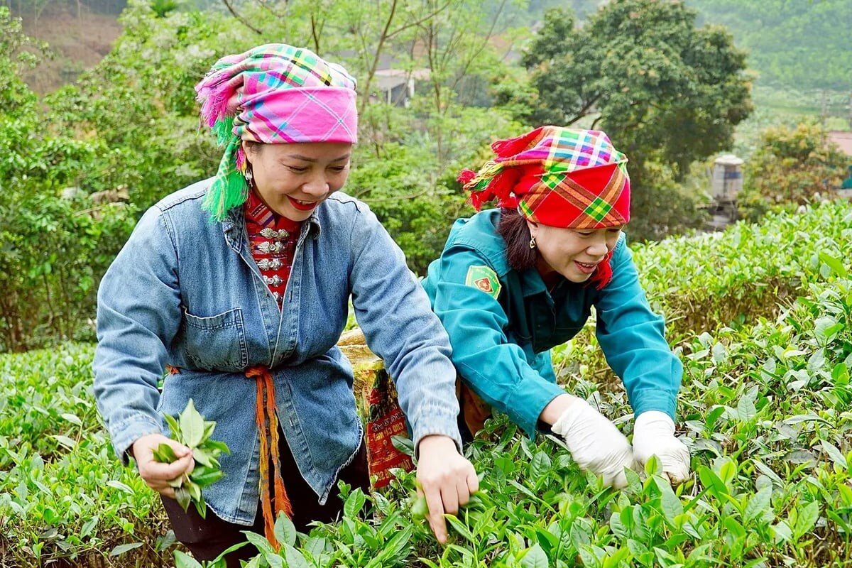 Ổn định sản xuất, tái cấu trúc thị trường trước biến động Trung Đông 