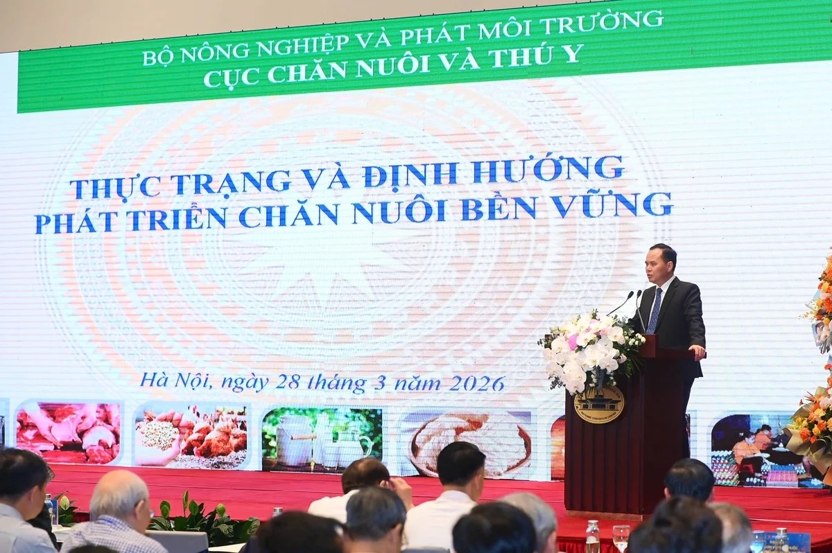 Ngành chăn nuôi đứng trước 'cửa sổ tái cấu trúc' để phát triển bền vững 