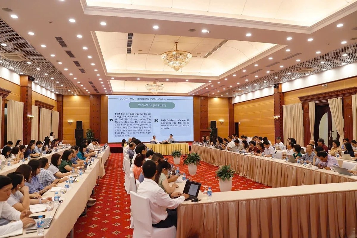 Cải cách thủ tục hành chính toàn diện, tăng tốc số hóa 