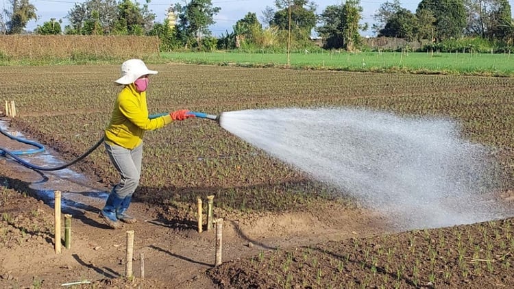 Chủ động triển khai giải pháp phòng, chống hạn hán và xâm nhập mặn năm 2026 