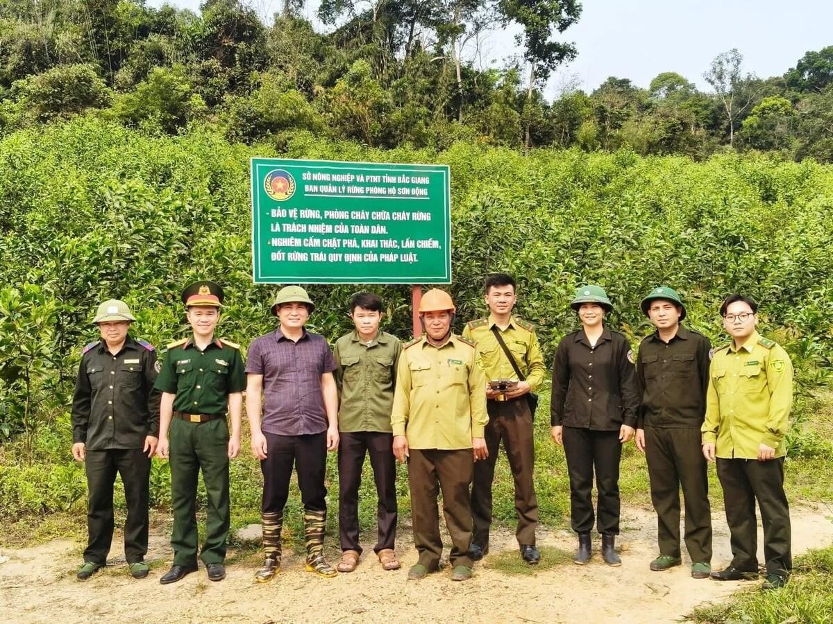 Bắc Ninh phối hợp phòng cháy, chữa cháy rừng giáp ranh
