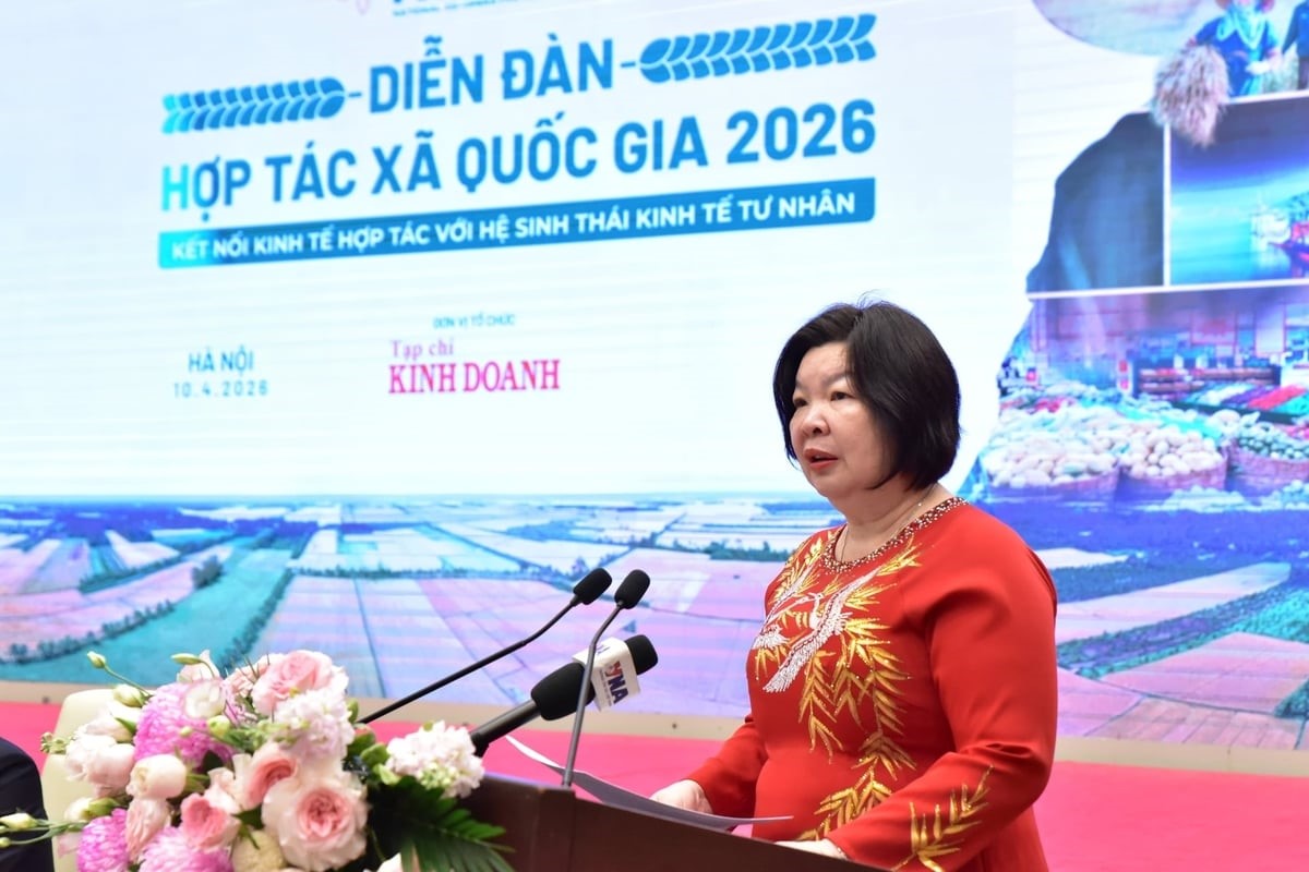 Kết nối sức mạnh liên kết của HTX và lợi thế công nghệ của doanh nghiệp
