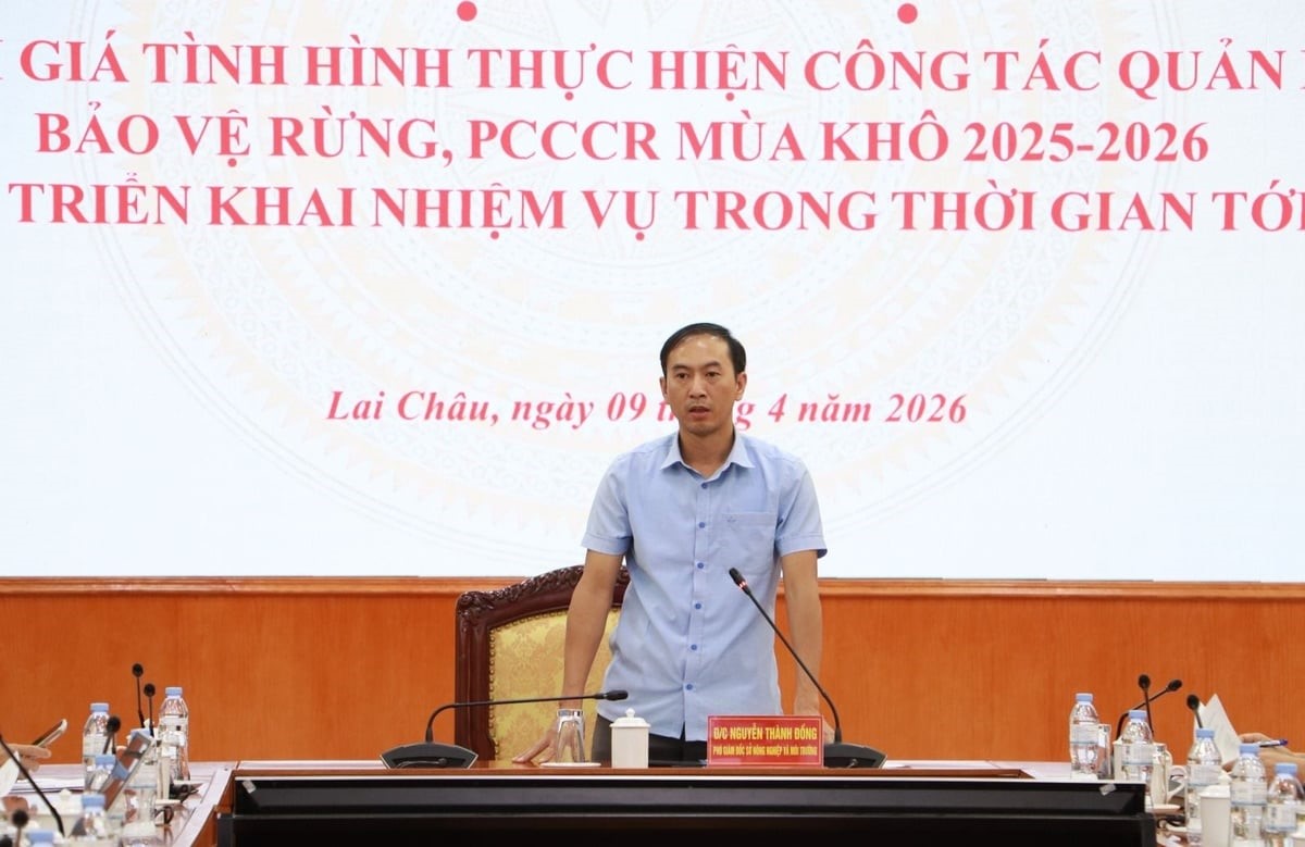 Cao điểm nắng nóng, Lai Châu lên phương án 24/24 phòng cháy rừng 