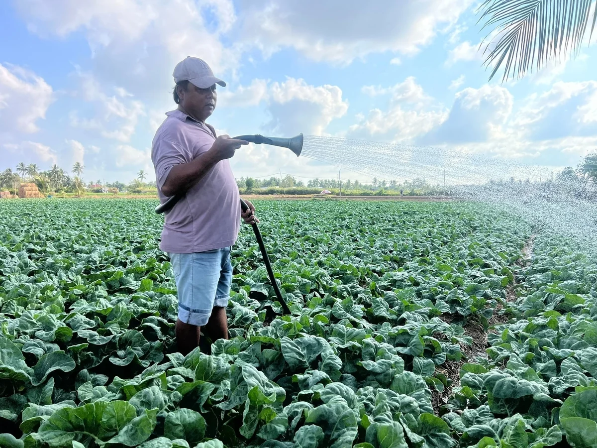 Cà Mau hưởng ứng Tuần lễ Nước sạch và Vệ sinh môi trường nông thôn
