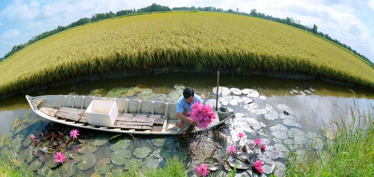 Bước ngoặt ngành tôm: Tất yếu chuyển dịch mô hình phát triển
